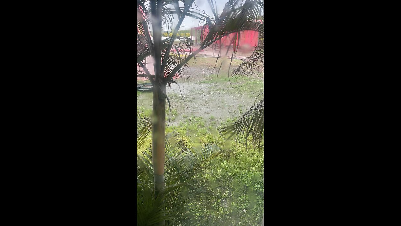 Rain lover