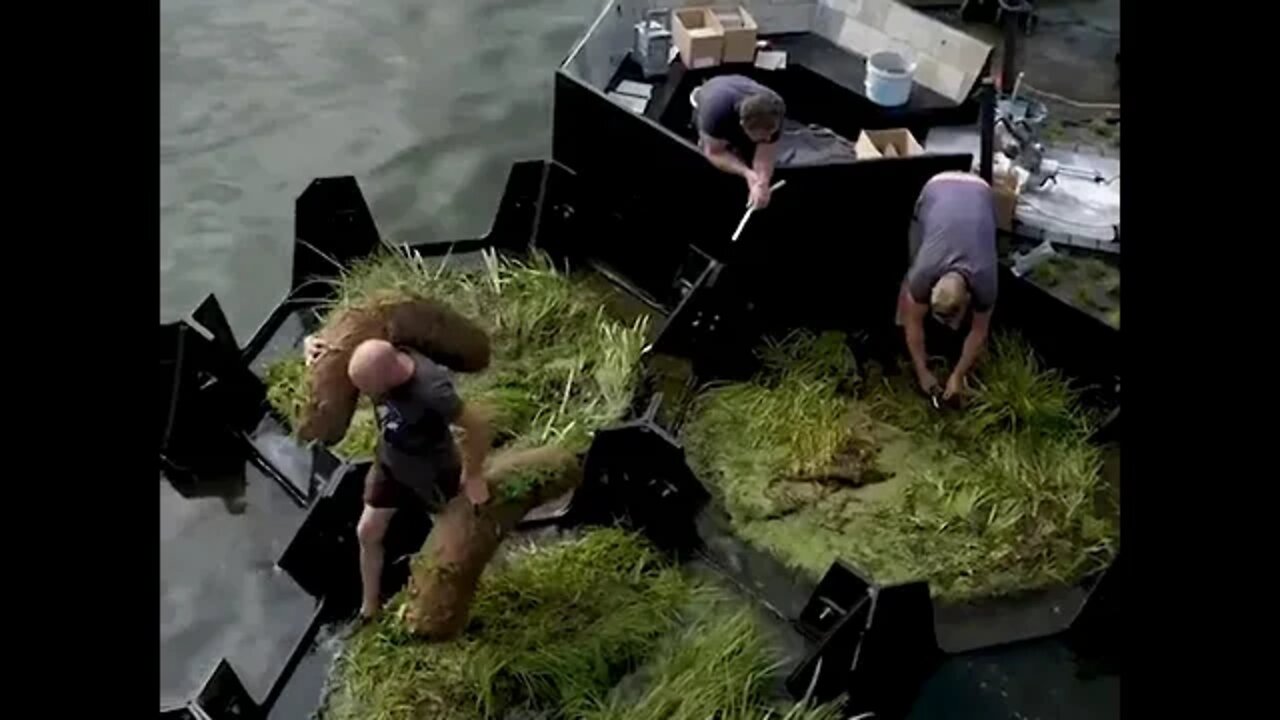This non-profit turns recycled plastics into floating parks tiktok gigadgetsofficial