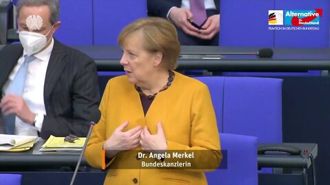 AfD - Im Kreuzverhör mit Merkel