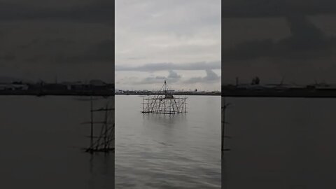 Oyster Breeding rack bacolod #philippines