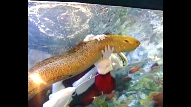 Santa Rides An Eel