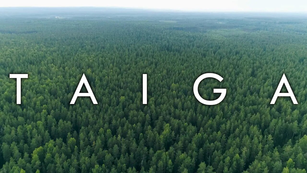 The Taiga Biome (Boreal Forest) - Biomes #7