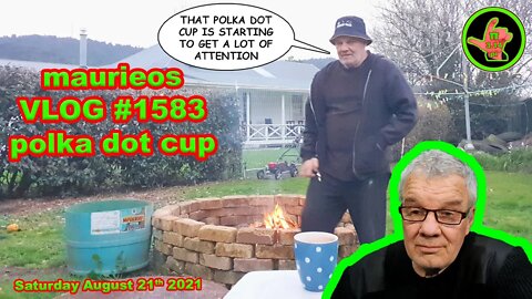 maurieos VLOG #1583 polka dot cup