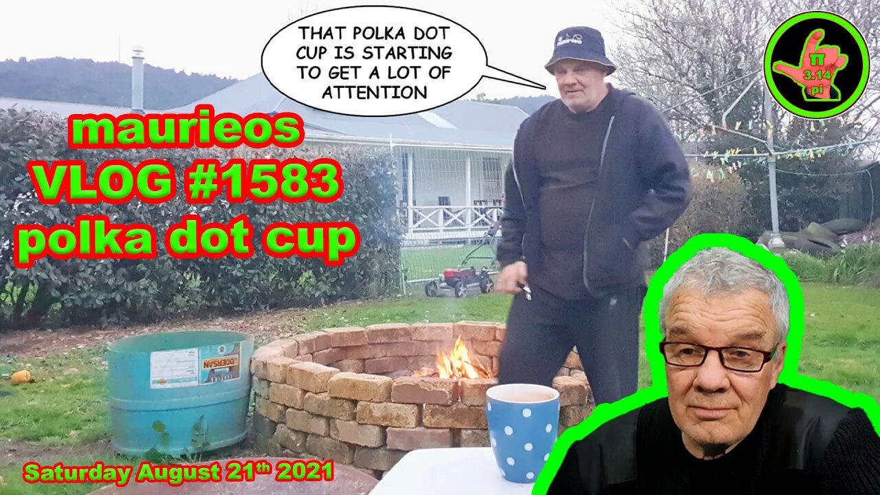 maurieos VLOG #1583 polka dot cup