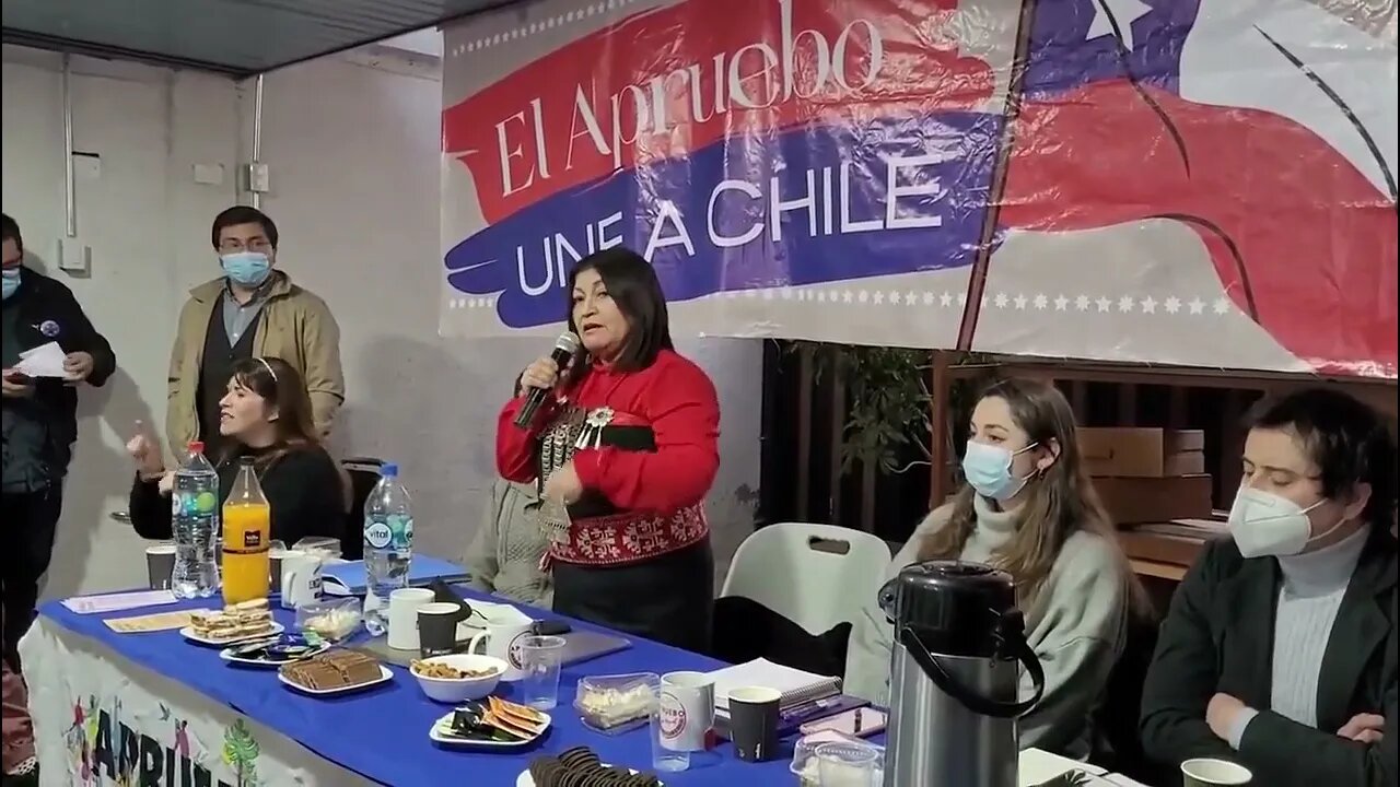 La Loncon argumentando que el dolar alto no es tan importante, y que no hay 3ra Via!!!