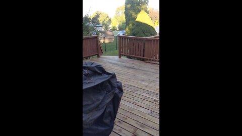 back deck staining project preview