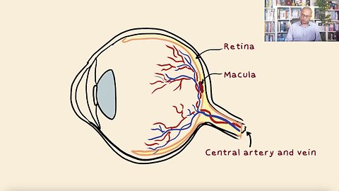 More Blindness After mRNA Vaccines Compared to Unvaccinated