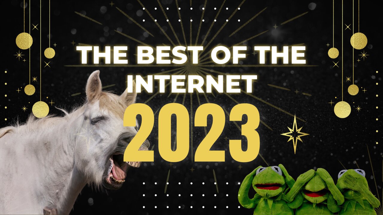 🟢 THE BEST OF THE INTERNET 2023 🟢