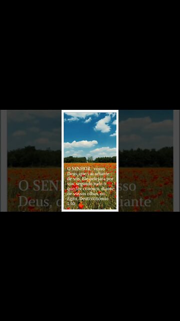 VERSÍCULO DO DIA 02/08/2022.#shorts