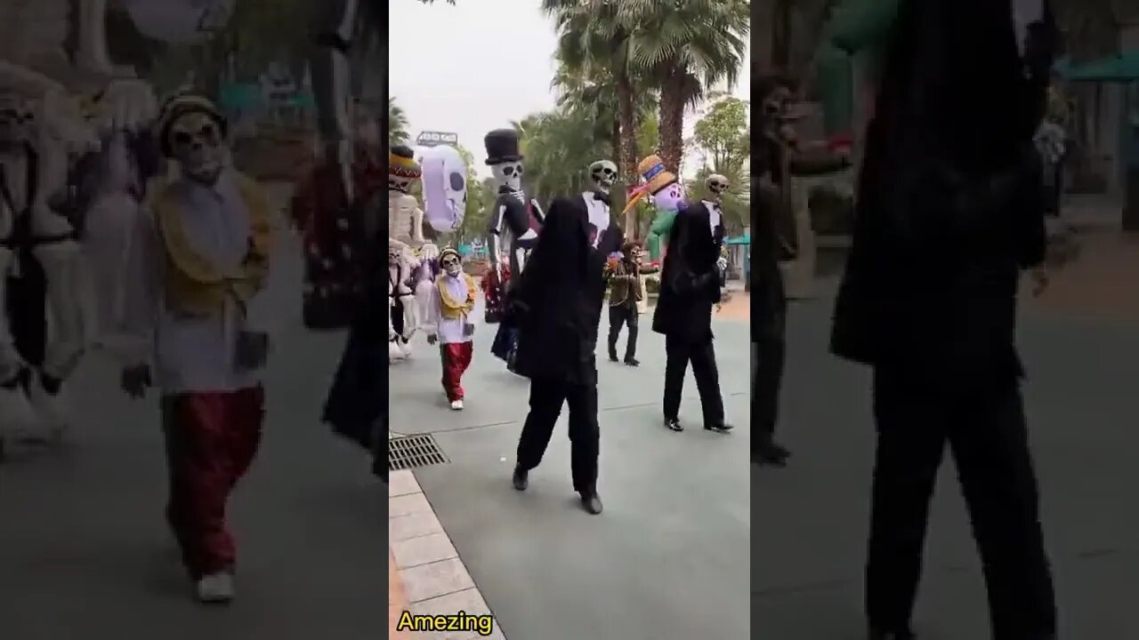Amezing video