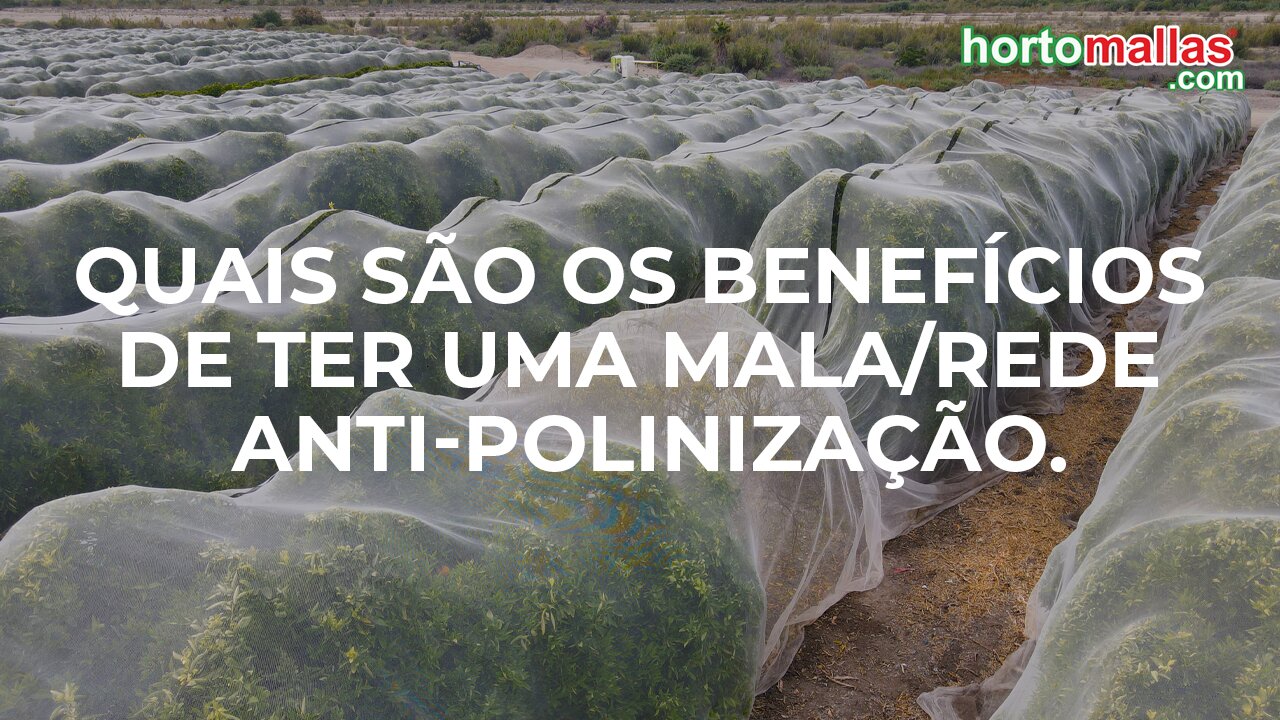 Quais são os benefícios de ter uma mala/rede anti-polinização.