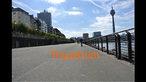 Triquetrum