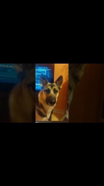 Why So Serious? #shorts