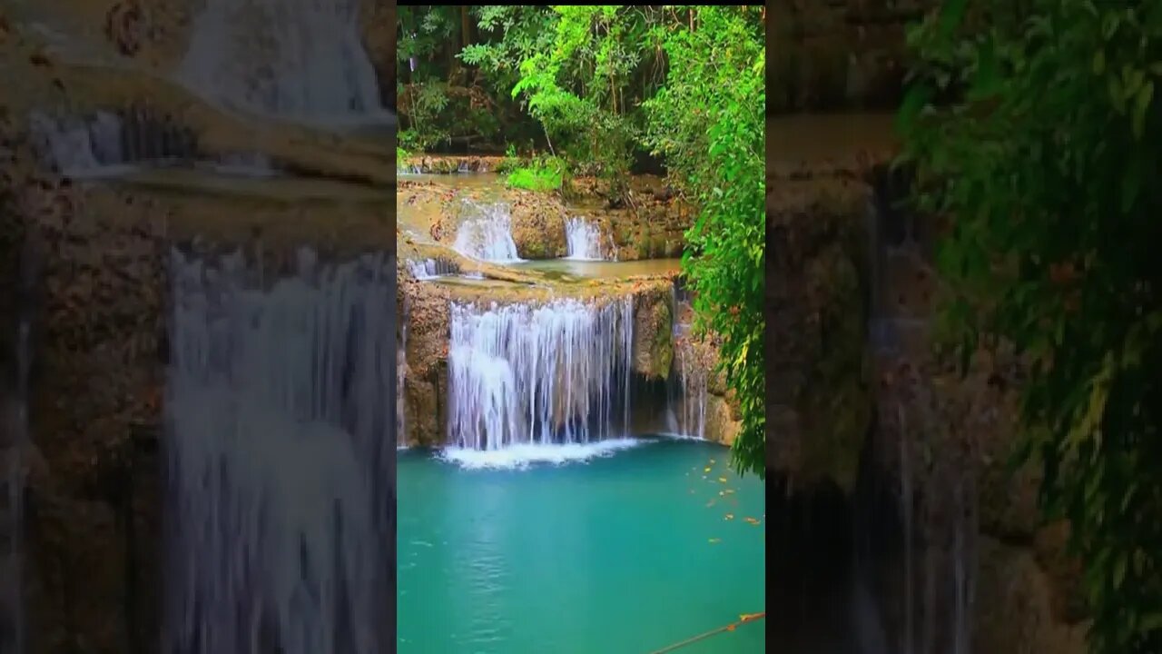 💦Cachoeira e Paz 🍃 Música Relaxante com Suave Sons de Água e Natureza para Meditar e Acalmar #shorts