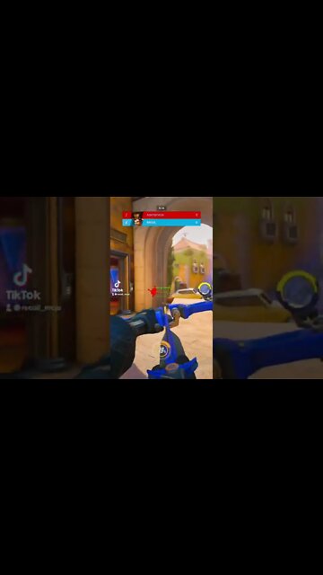 Overwatch clip I repost on TikTok Gaming because it got over 1 million views