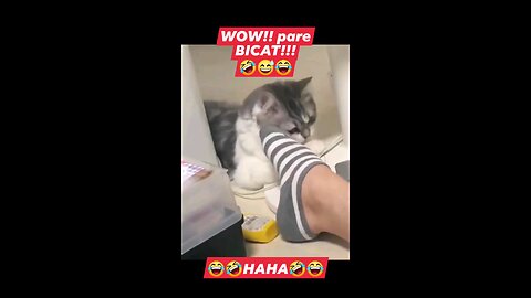 WOWPARE BICAT!!