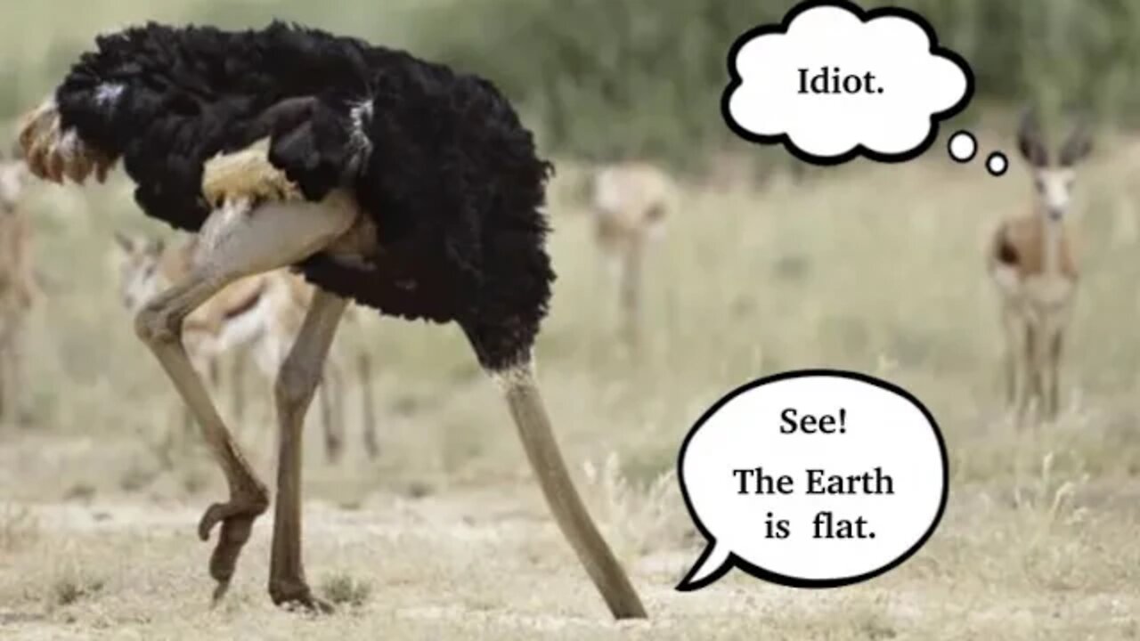 Things Flat Earthers HAVE To Deny