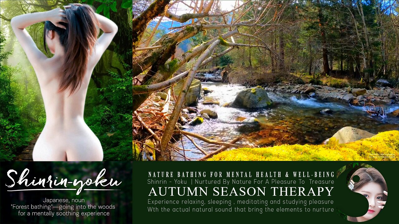 Shinrin-Yoku Bio Music Therapy | Nature Asmr 003 ▶️