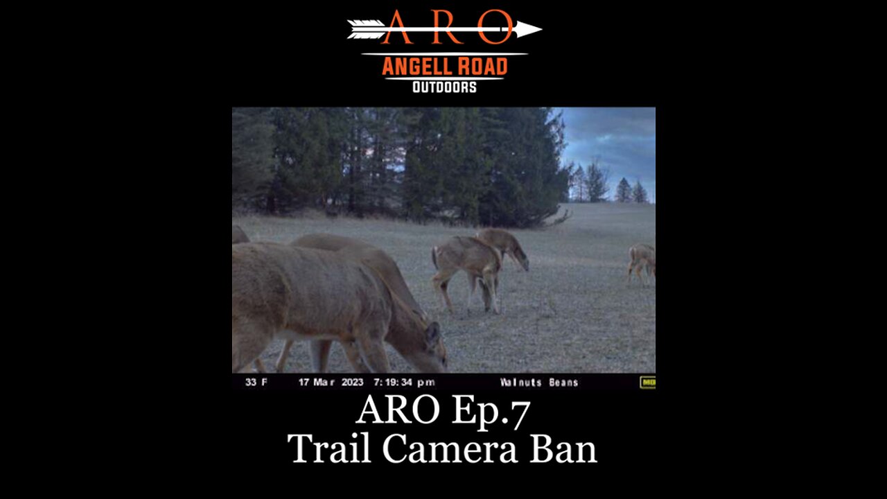 Ep.7 - Trail Camera Ban