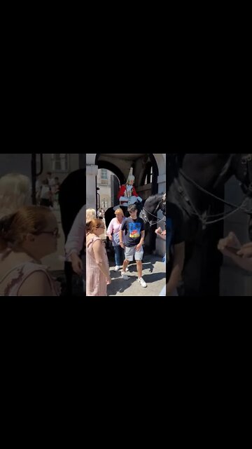 touching the reins #horseguardsparade