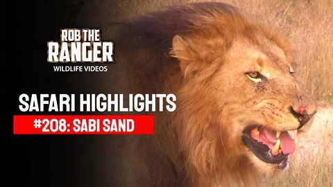 Safari Highlights #208: 09 - 12 May 2013 | Sabi Sand Nature Reserve | Latest Wildlife Sightings