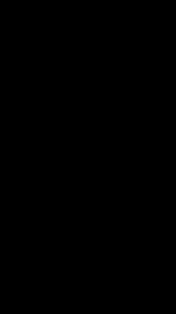 Lawyer of constitutional law