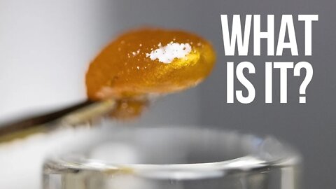 The Highest Yielding Dab Extraction Weed Strain