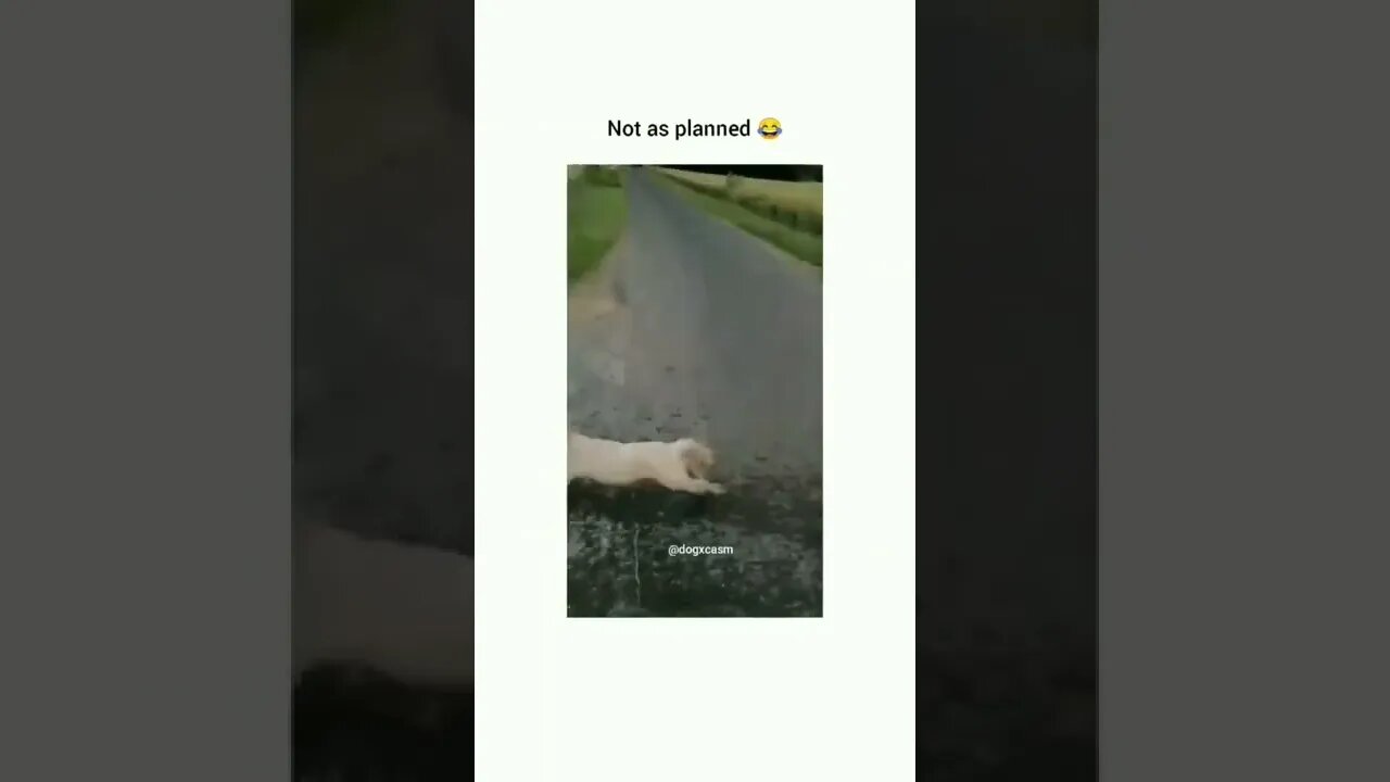 😂🤣🤣😂😂