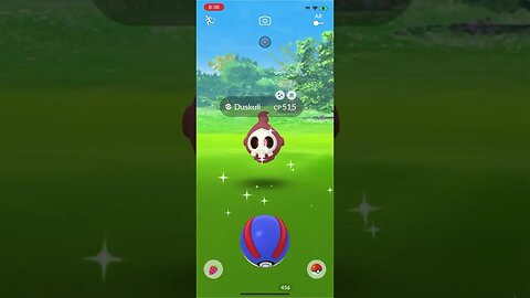 Shiny Compilation