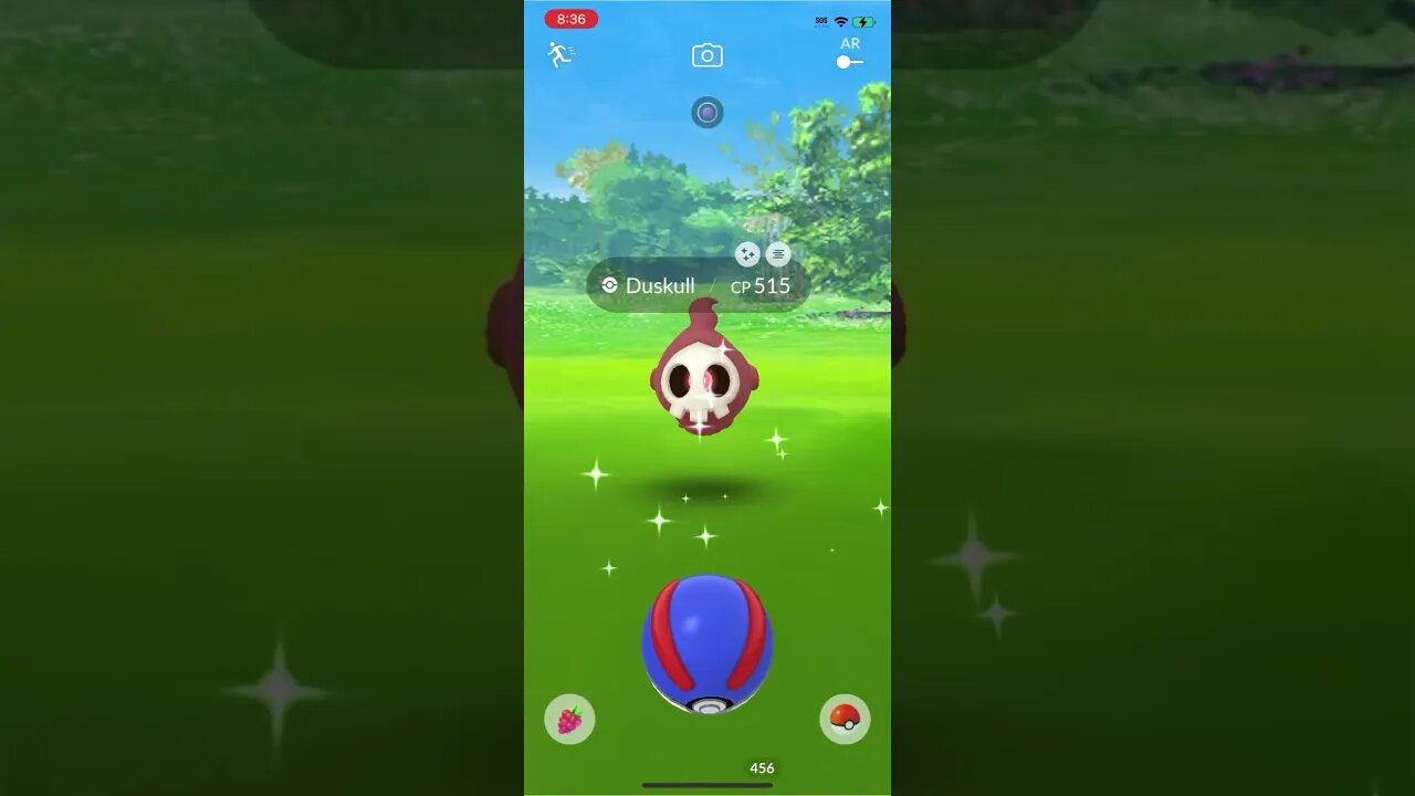 Shiny Compilation