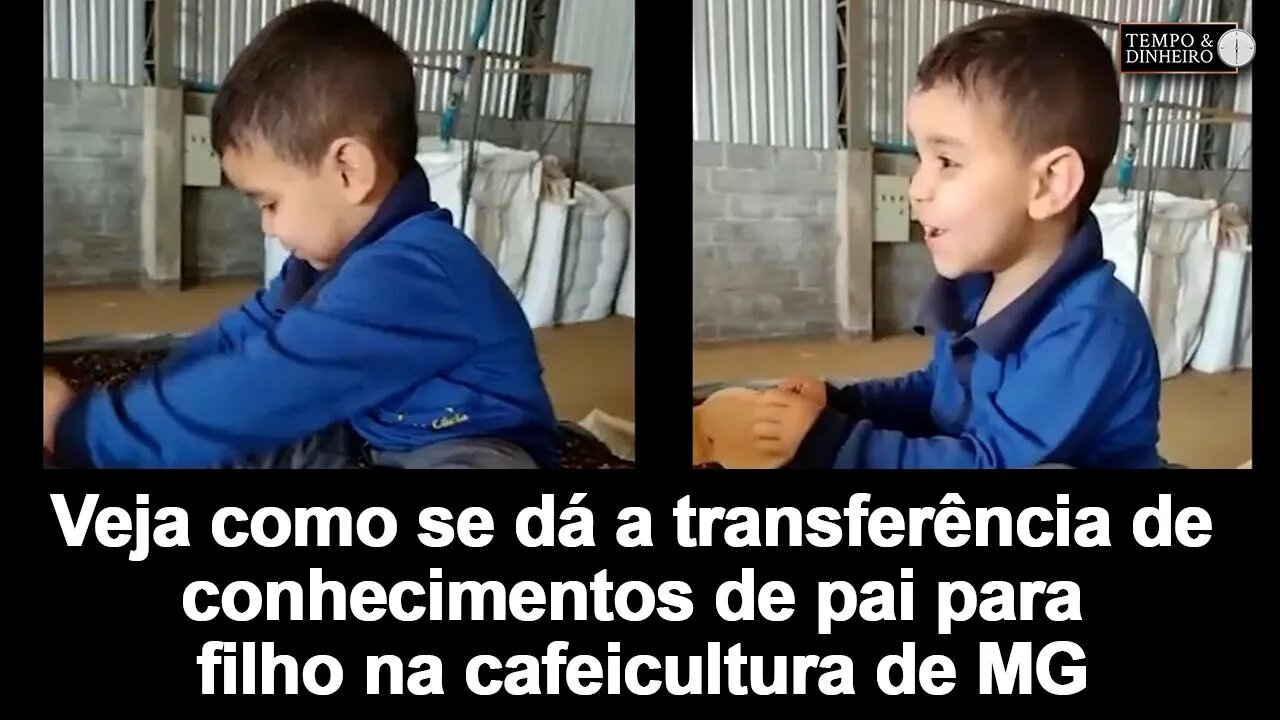 Veja como se dá a transferência de conhecimentos de pai para filho na cafeicultura de MG