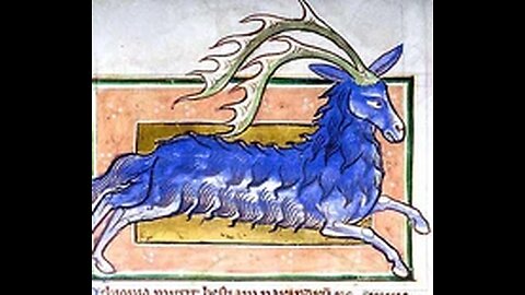 Parandrus