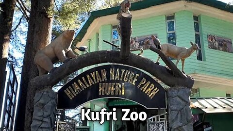 Himalaya Nature park Kufri Zoo