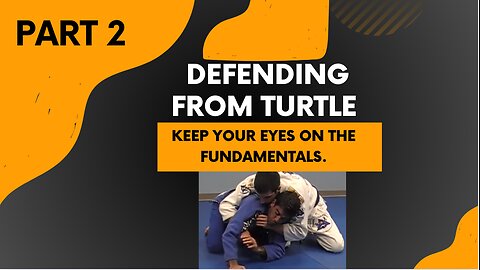 Defending from Turtle (Part 2 of the complete seminar)