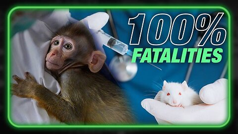 Governments/Universities Studied COVID Vaccines Before Rollout: Shots Killed 100% of Mice & Monkeys