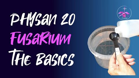 How to use Physan 20 | Fusarium Treatment on Orchids | Orchid Care for Beginners #fusarium