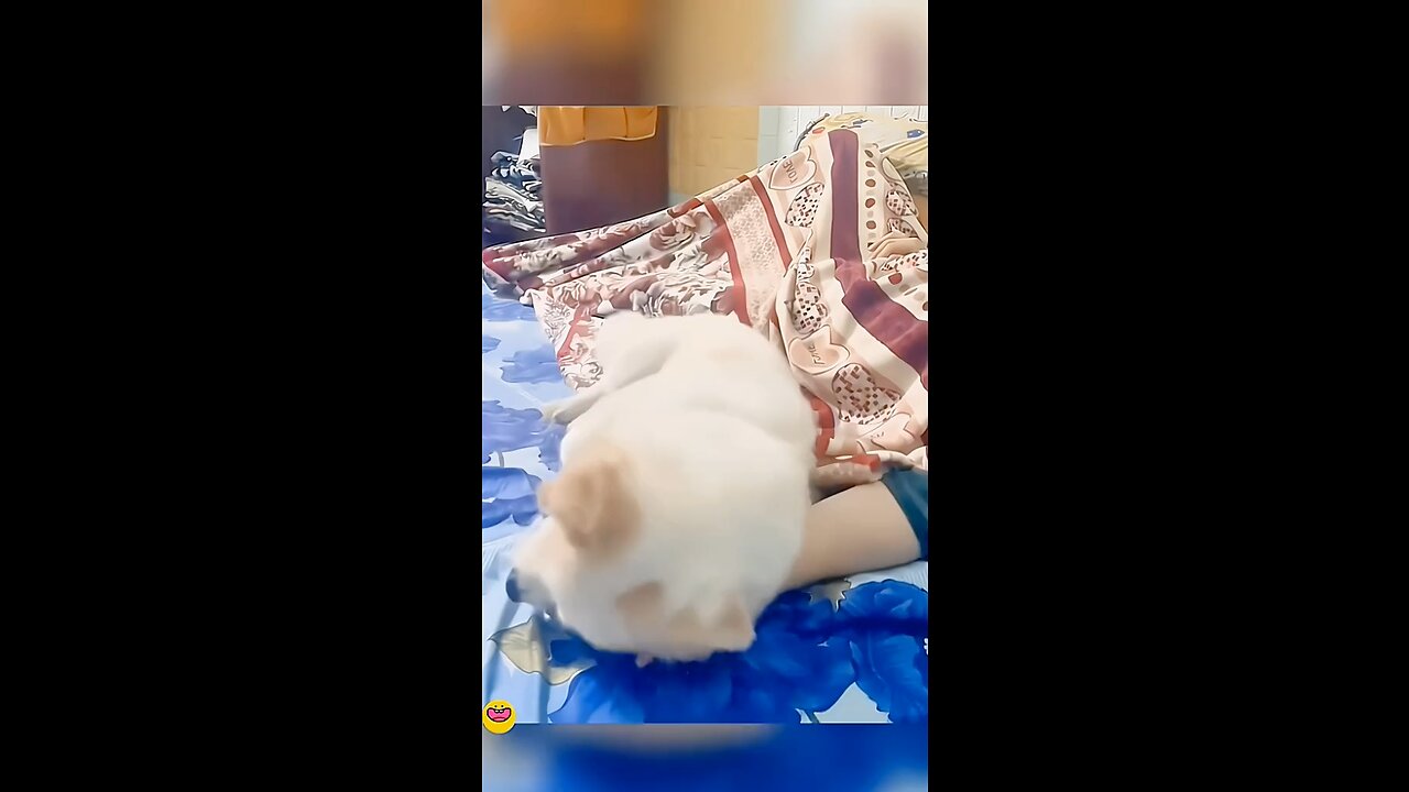 So Cute
