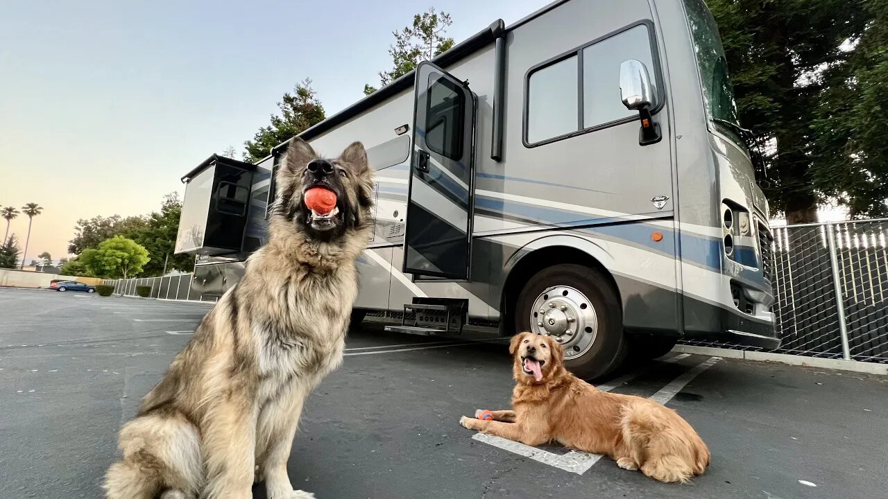 Quick Ford Service Appt & Heading Back North | California Road Trip