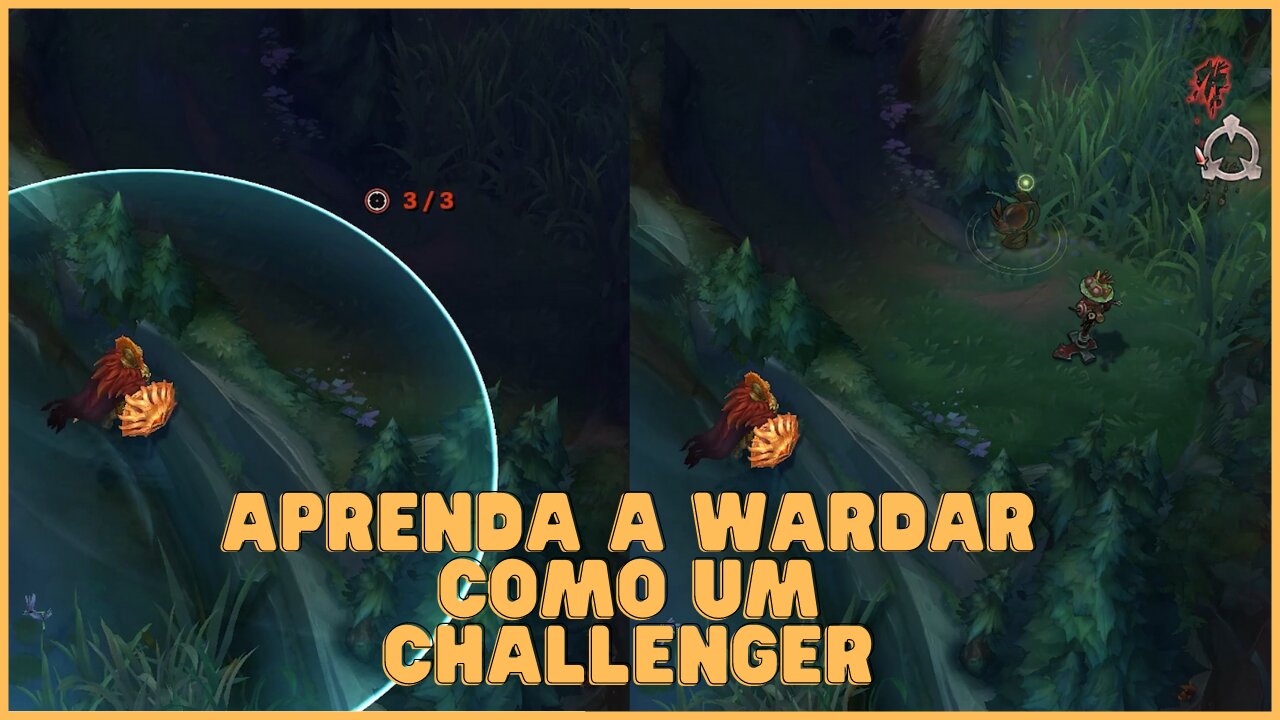 WARD - TRUQUES QUE VOCÊ NÃO SABE E DEVERIA SABER!