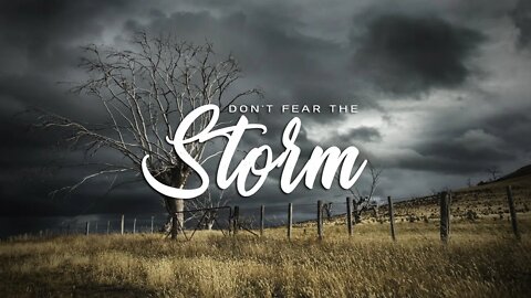 Don't Fear The Storm
