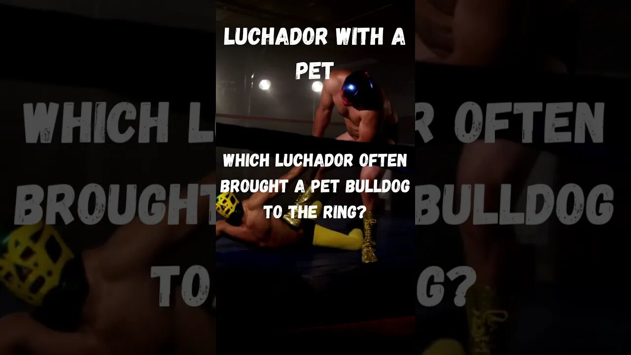 AAA Luchador Pet #shorts #aew #wwe #subscribe #wrestling #trivia