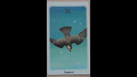 MEDITATION #awareness #biggerpicture #judgement #birdseyeview #tarot #tarotary #dailycard