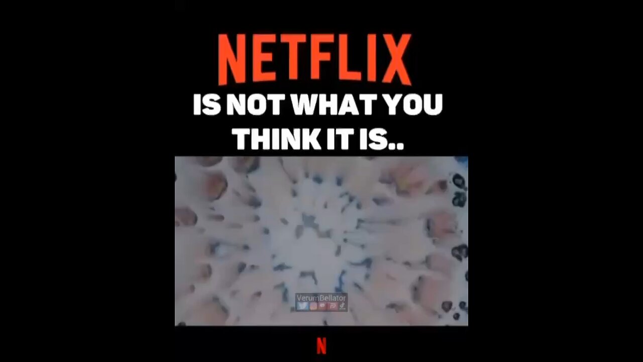 Netflix is not what you think it is