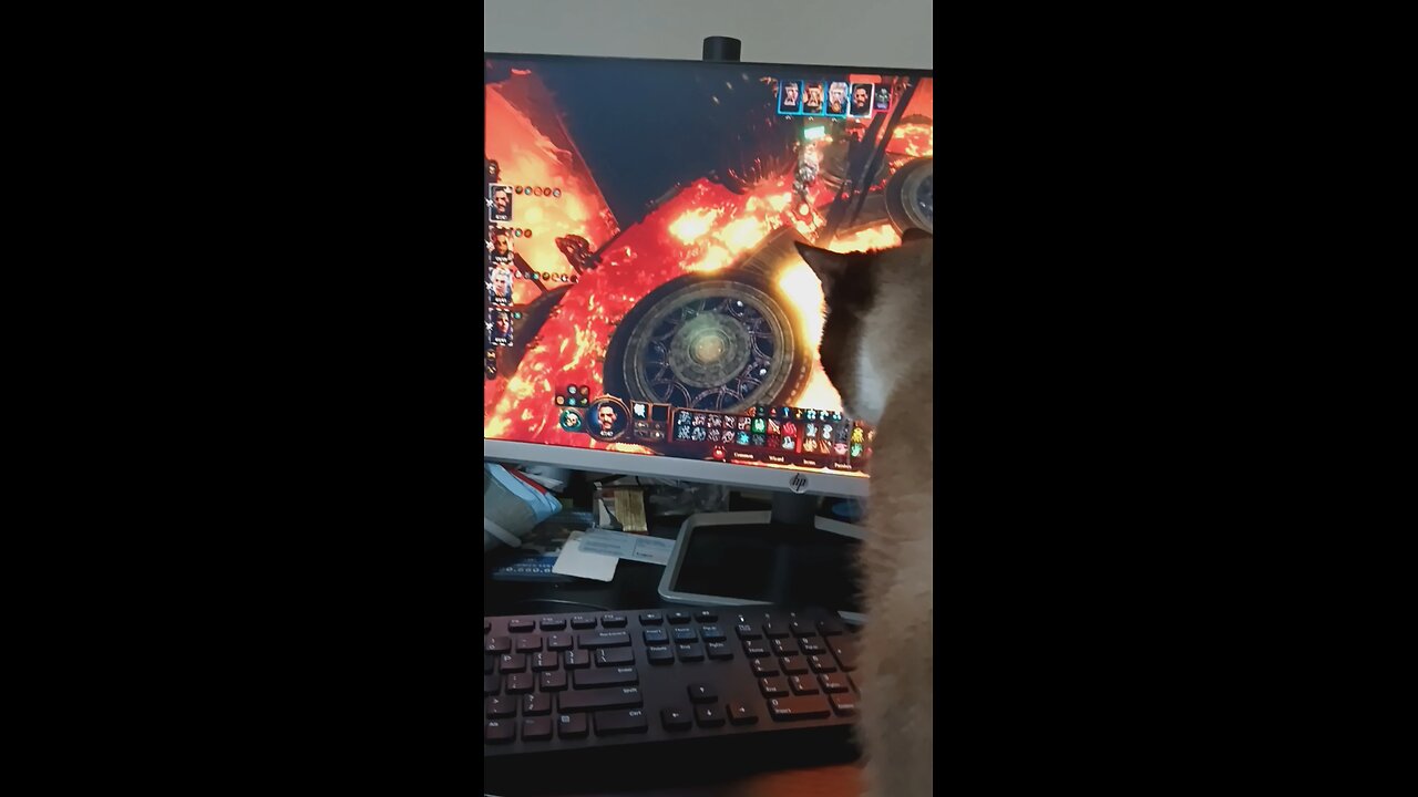 Cat is vested in Baldurs Gate 3 game play