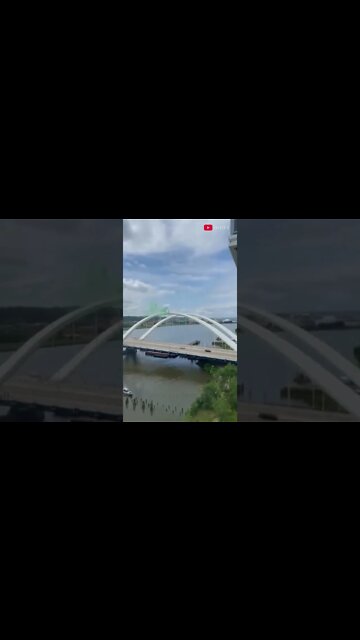 Pro-abortist man protests on top of the Frederick Douglas Memoral Bridge #roevswade #shorts