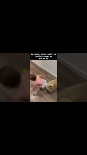 bebê trolando o cachorro