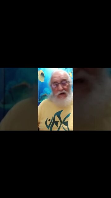 MY FAVOURITE POND YT