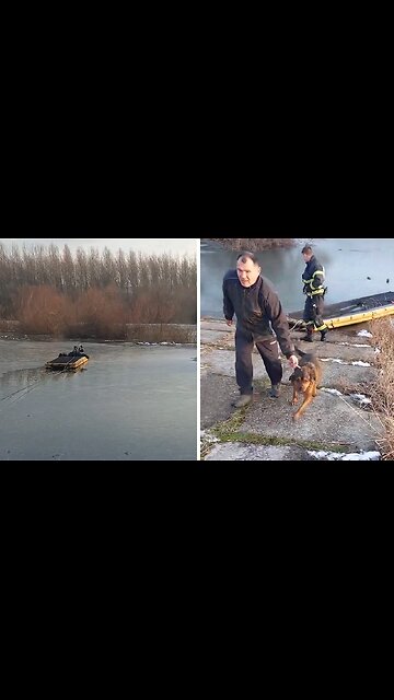 Firefighter rescue woman and her dog from icy river
