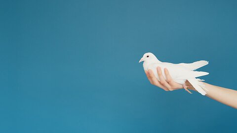 What’s the Difference Between the Spirit and the Soul?
