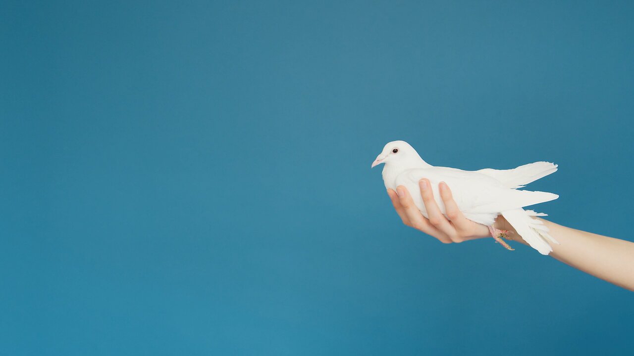 What’s the Difference Between the Spirit and the Soul?